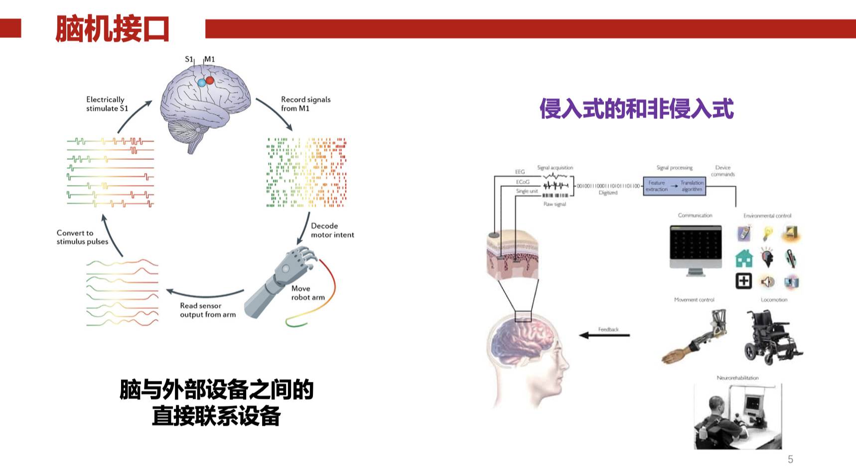 际华集团：主营业务及现有产品体系未涉及脑机接口领域