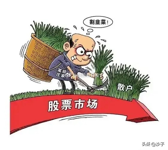 长城电工涨停，上榜营业部合计净卖出2552.20万元