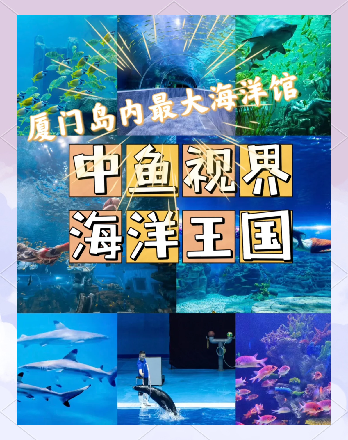 厦门：深化闽台海洋融合发展 鼓励探索厦金海洋经济合作新模式