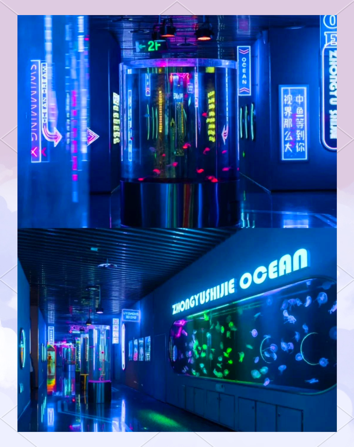 厦门：深化闽台海洋融合发展 鼓励探索厦金海洋经济合作新模式