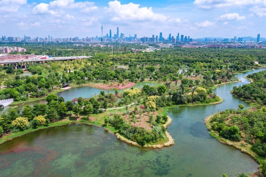 先行先试！湖州将打造全国绿色金融能力建设基地
