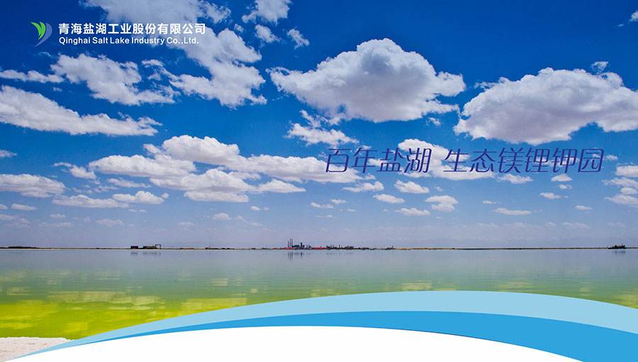 双环科技：上半年预亏1000万元―1400万元