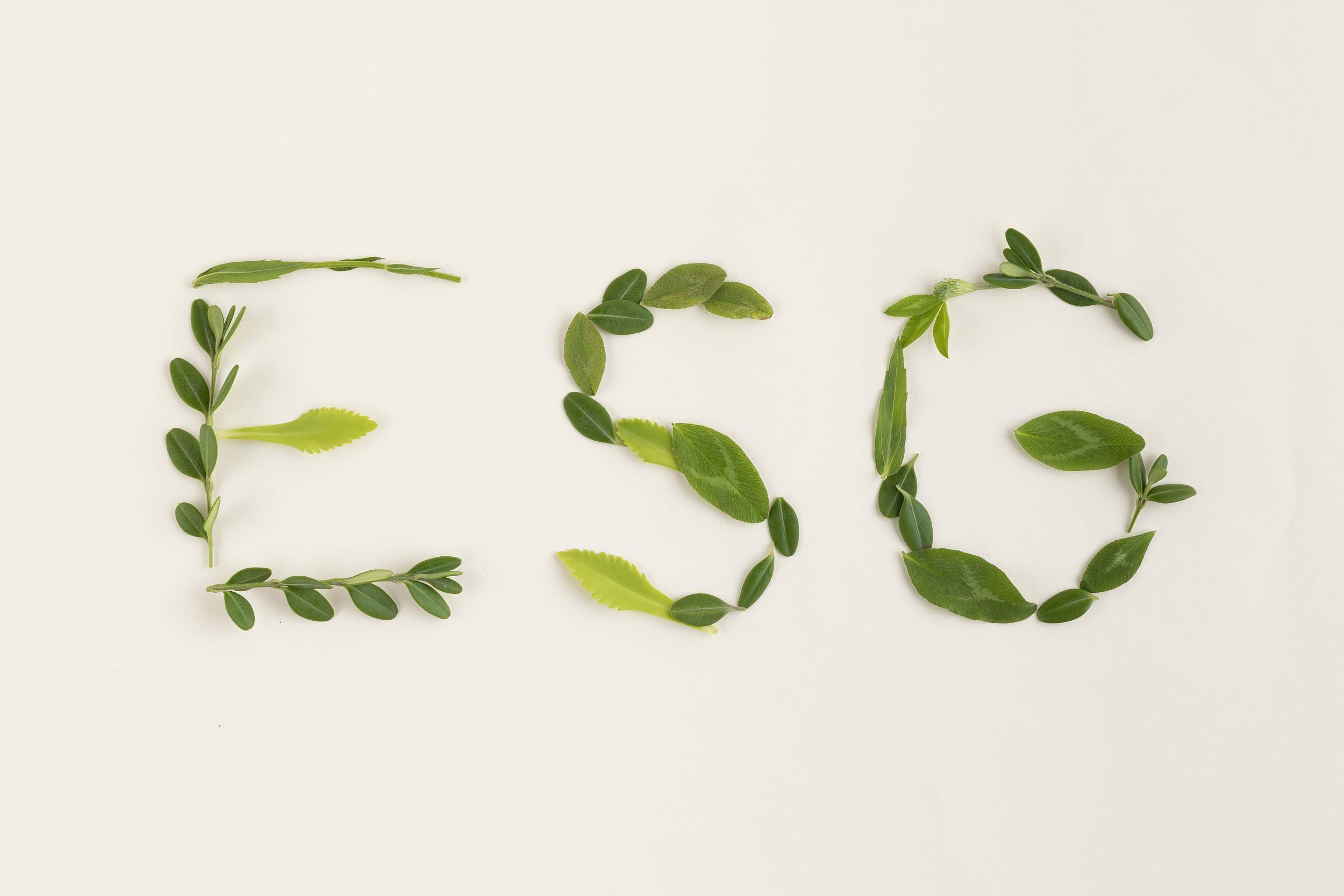 【ESG动态】厦门钨业（600549.SH）获华证指数ESG最新评级AAA，行业排名第1