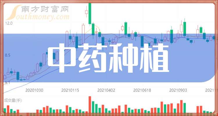 山东加快推动中药材生产 力争全省中药材种植面积稳定在380万亩左右