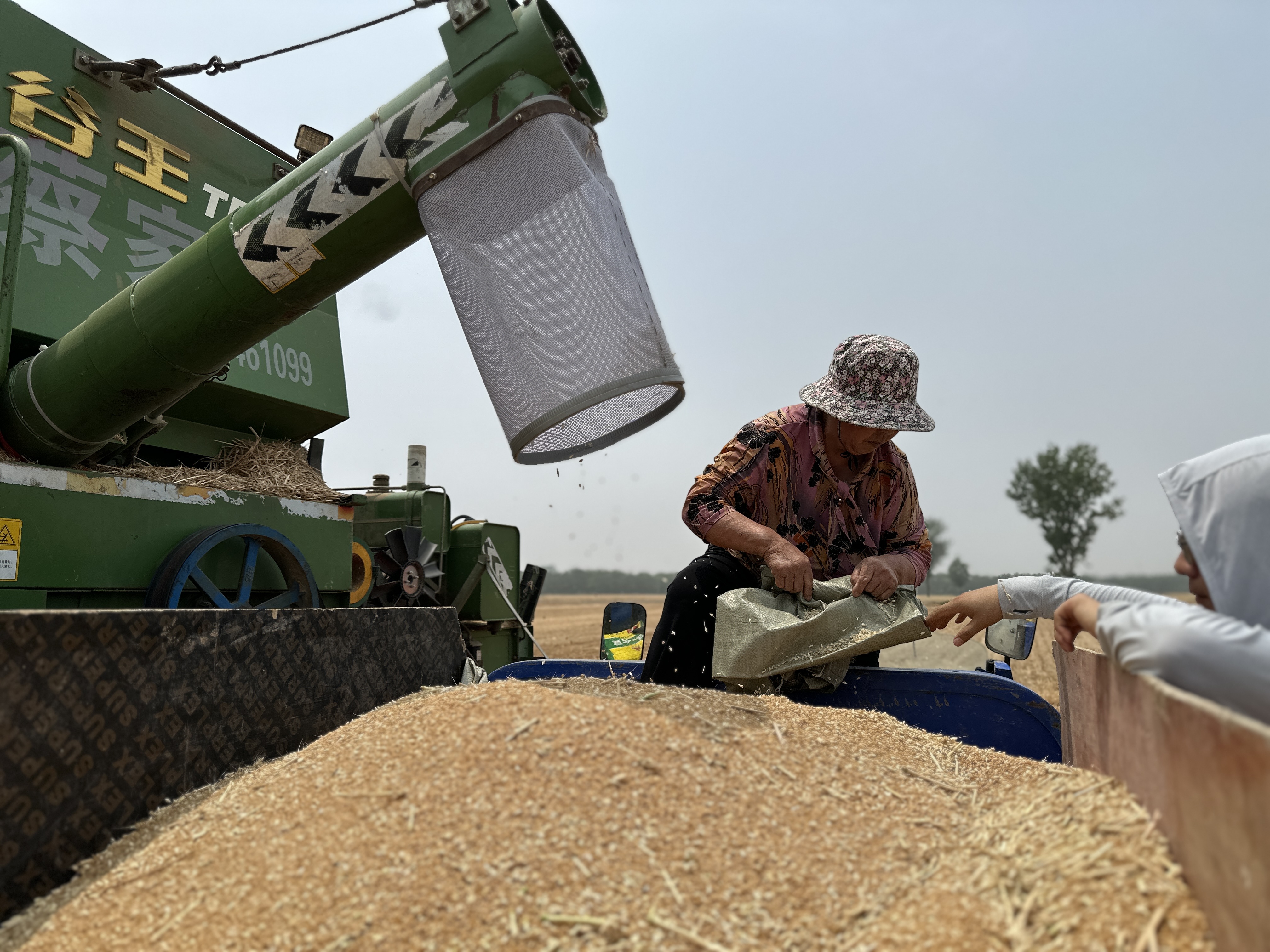 国家统计局：2025年全国夏粮总产量14973.8万吨