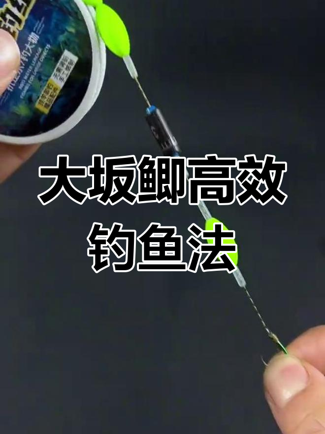 新研究：鱼类悬停在水中其实很“费劲”