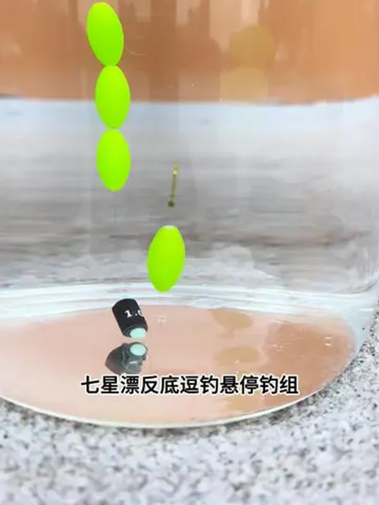 新研究：鱼类悬停在水中其实很“费劲”