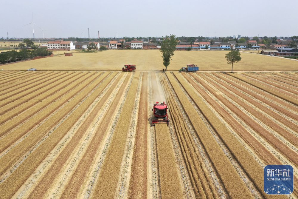 我国早稻由南向北陆续开镰 收获进度已过三成