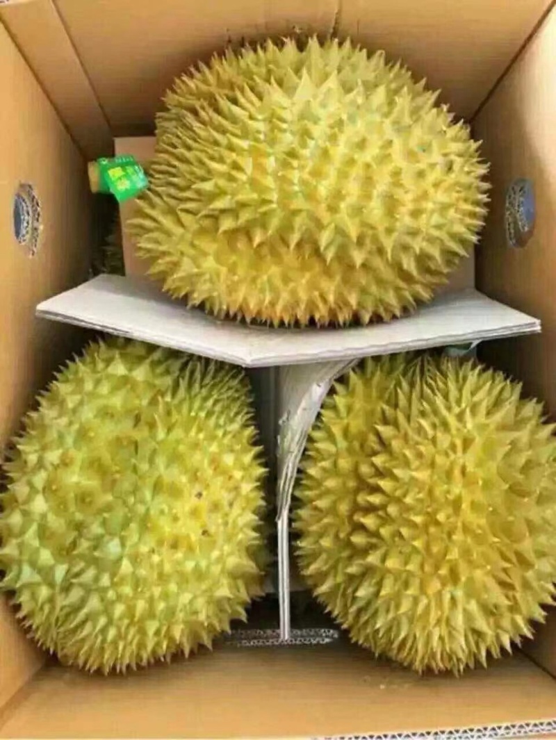泰国邮政全国免费送水果
