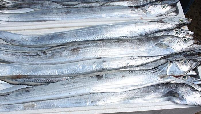 印度尼西亚扩大对进口棉织物保障措施涉案产品范围