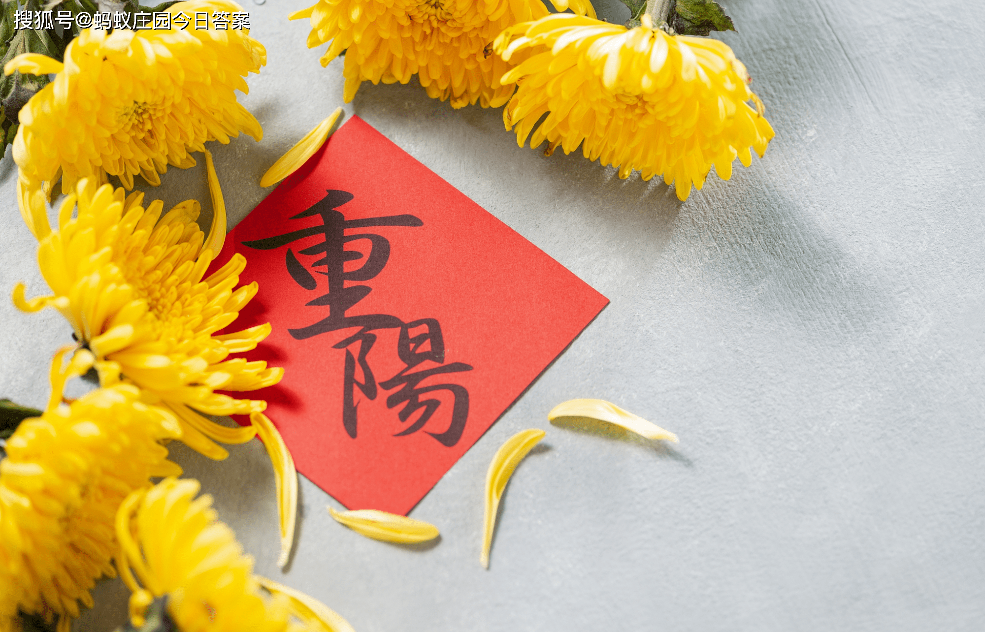 重阳问答�蛉绾谓舛林醒氤鞘泄ぷ骰嵋�