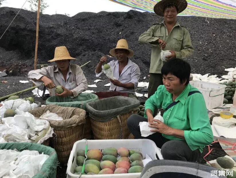 司尔特等投资成立化工公司，含矿物洗选加工业务