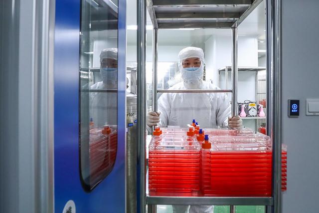 杭州强新退出北京科兴争夺战