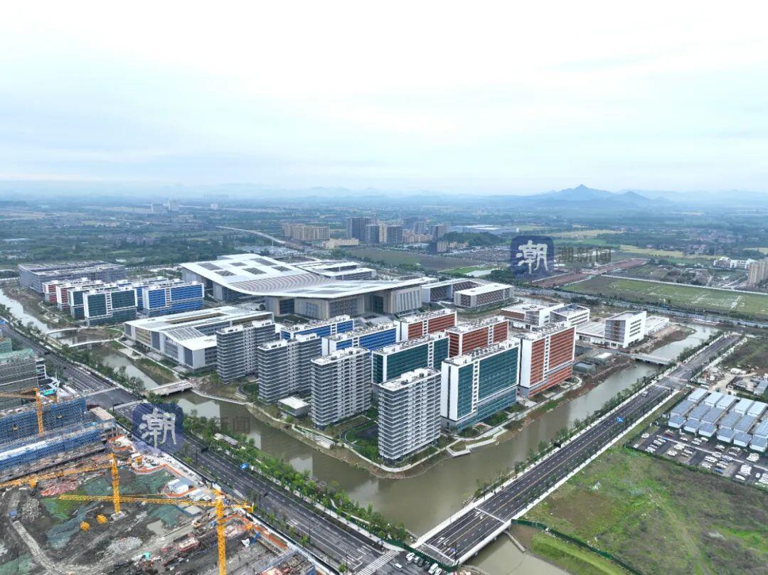 杭州强新退出北京科兴争夺战