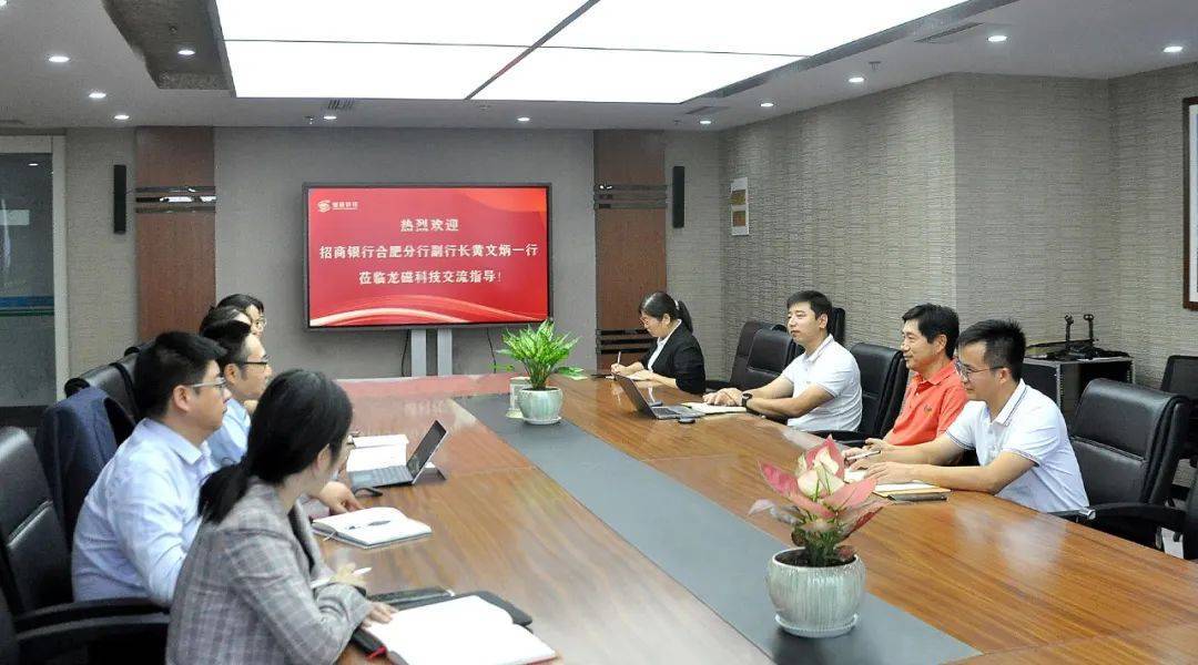 龙磁科技涨4.25%，股价创历史新高