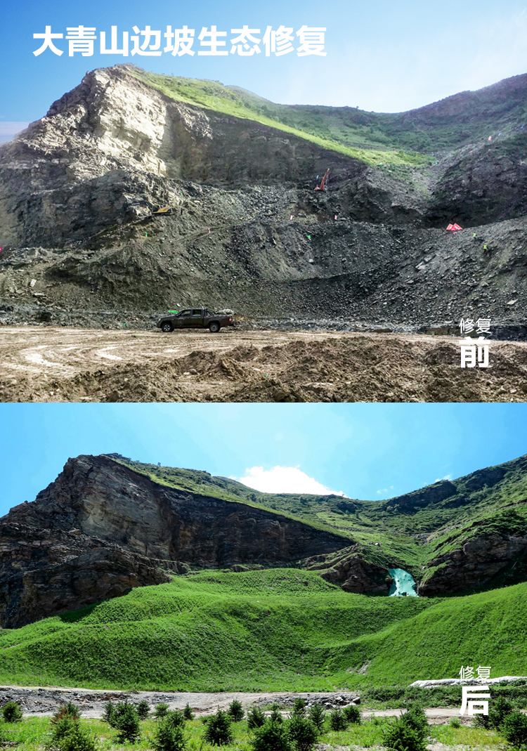 蒙草生态：公司未参与雅江水电站环境治理项目