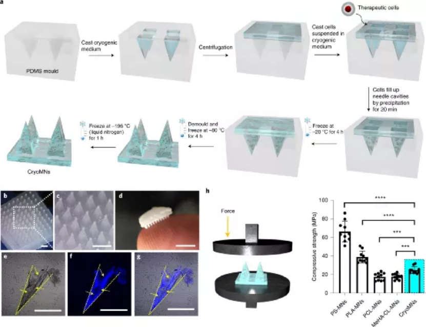 华海药业公布国际专利申请：“一种微针贴片及其制备方法”