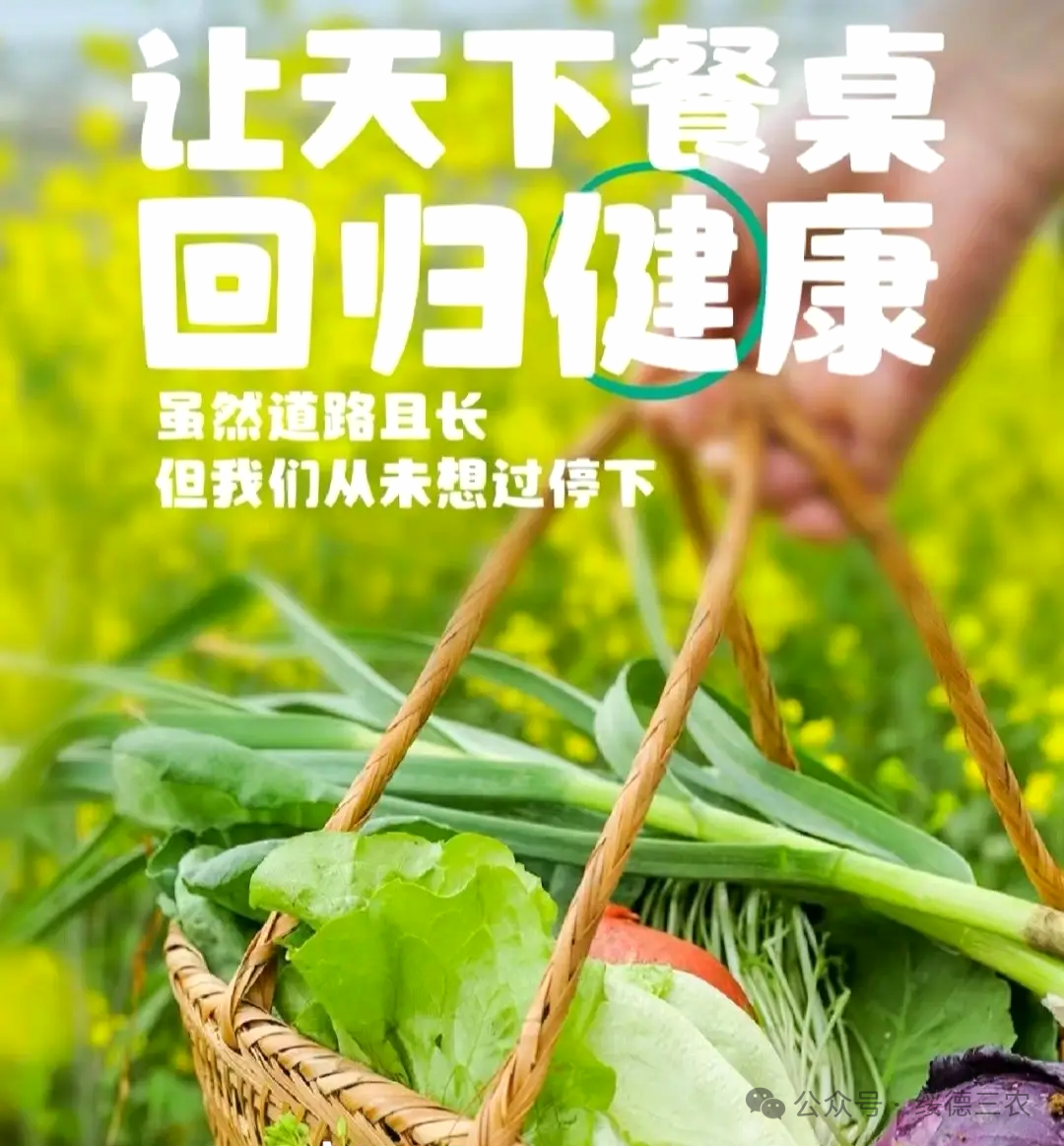 农业农村部：继续大力发展绿色优质农产品