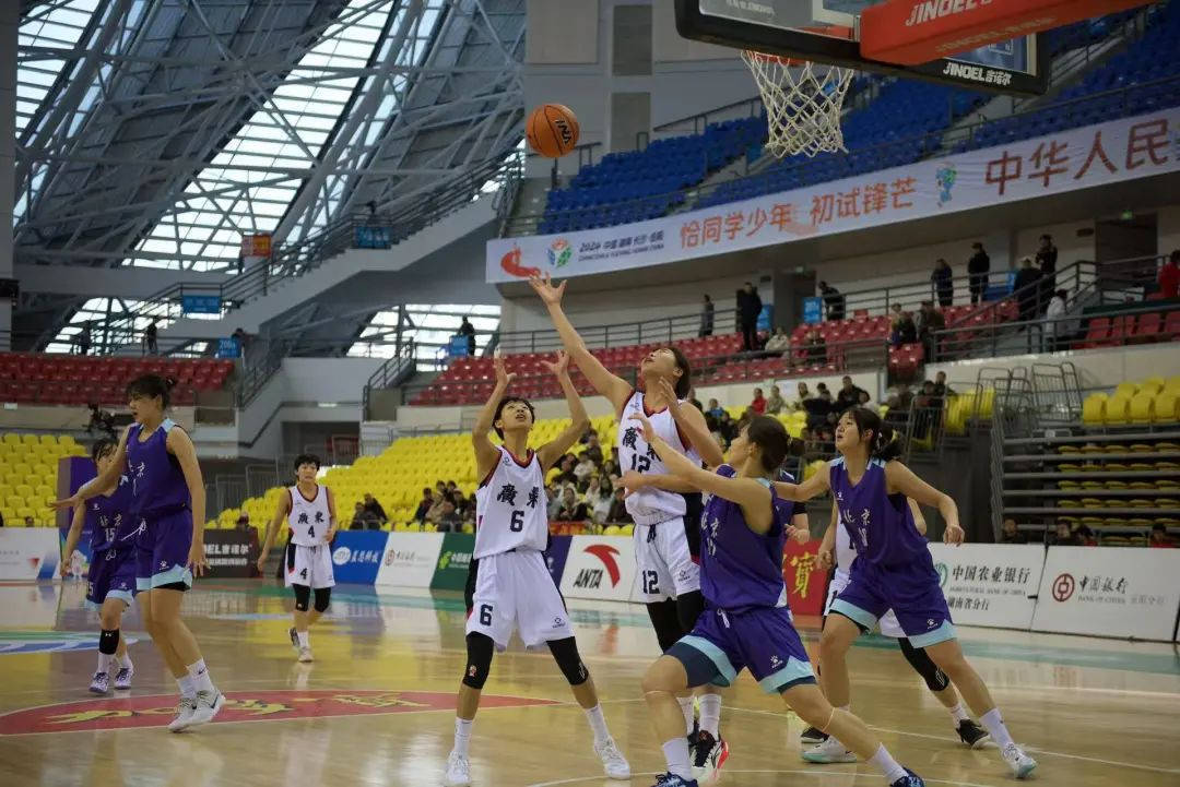 广东：加快建设高水平体育强省 要以“三大球”振兴为抓手深化竞技体育改革