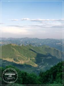 “空中高德”时空底座发布 全场景低空经济示范区龙岗启航