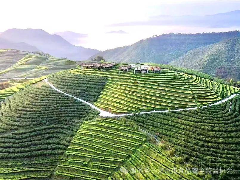 弘信电子：拟共建燧弘庆阳绿色智能数字基础设施项目 总投资预计128亿元