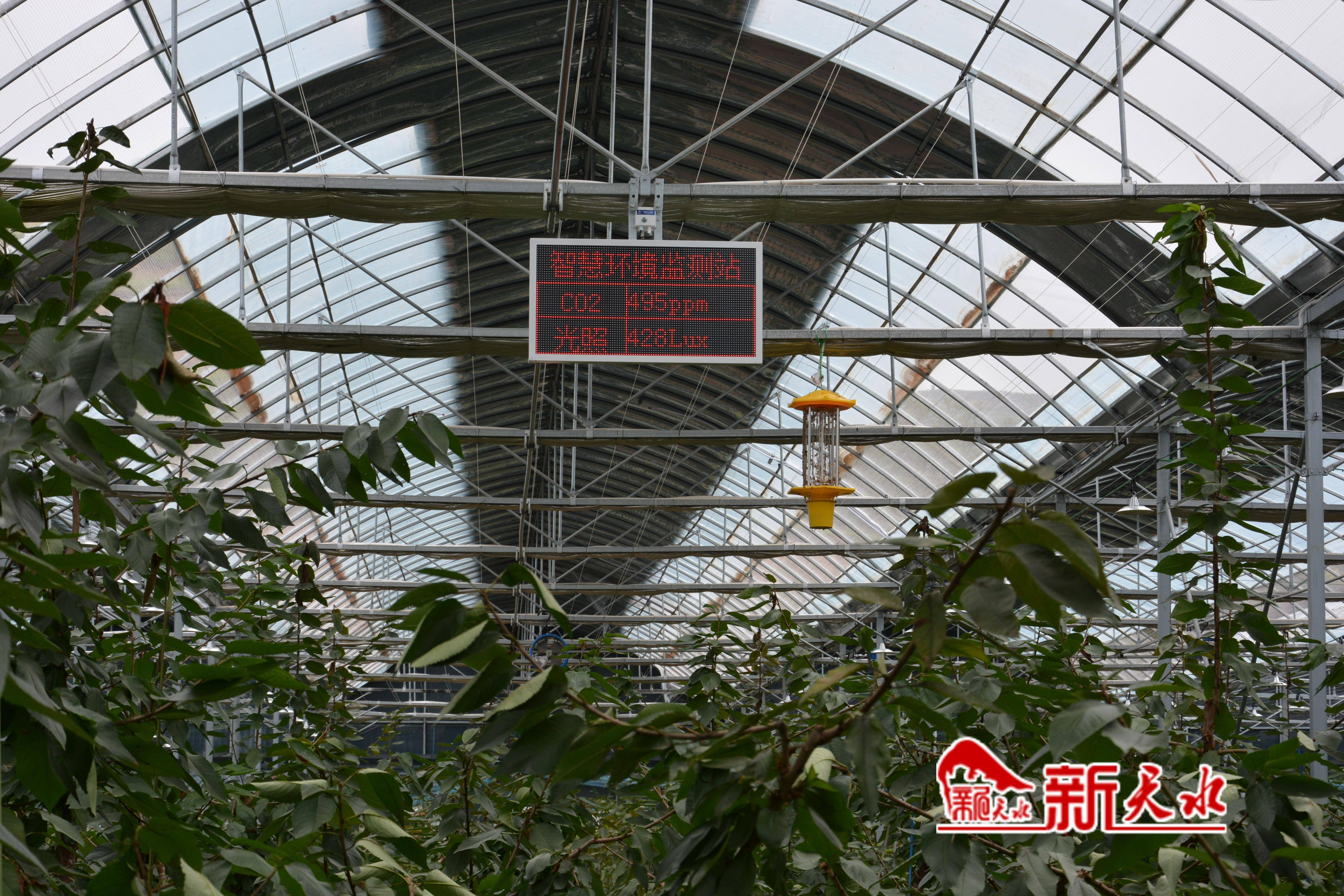 “科技赋能+产销融合”：中国产粮第一大省绘就农业现代化新图景