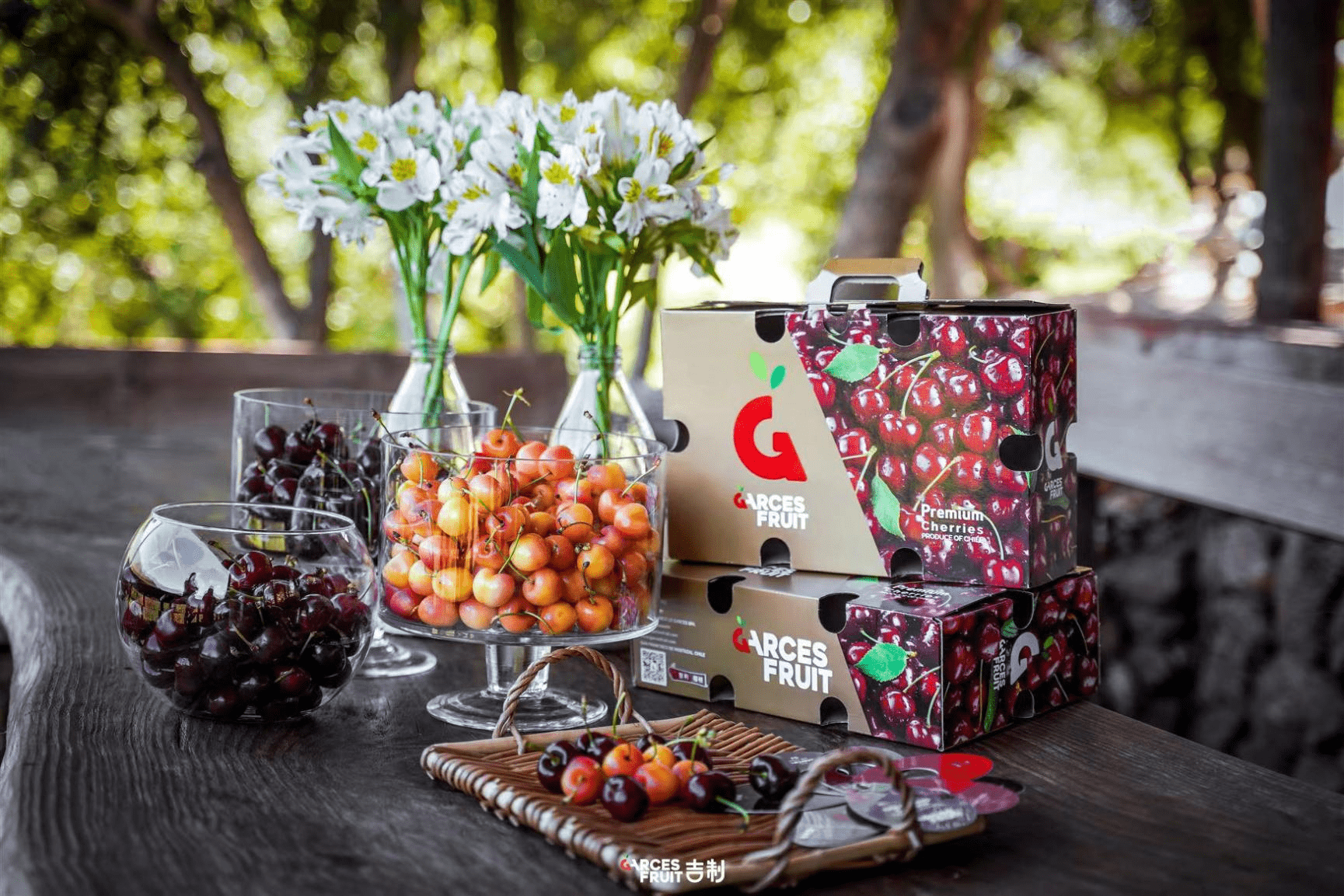 智利央行发布首份支付行为研究报告