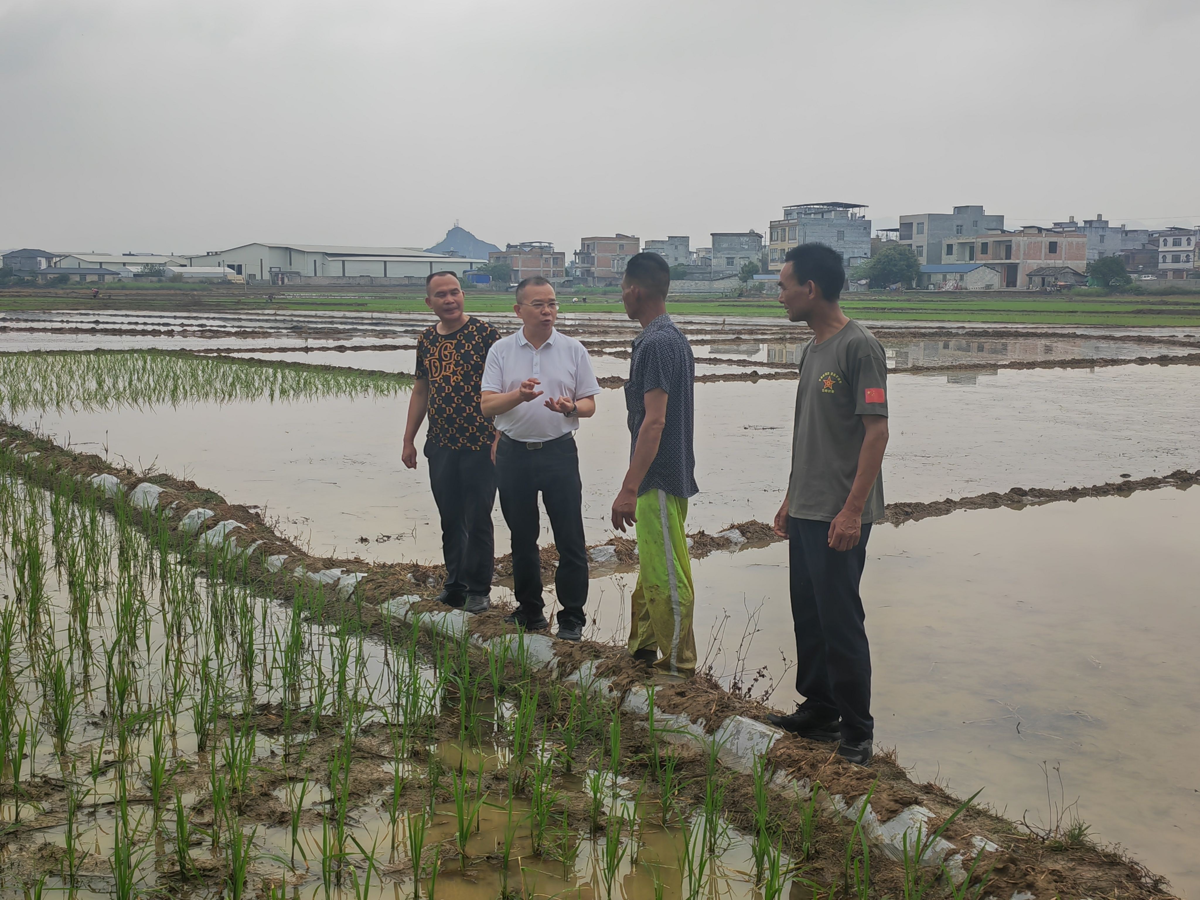 投用新机井、开展夜间灌溉……各地多措并举助农稳产保丰收