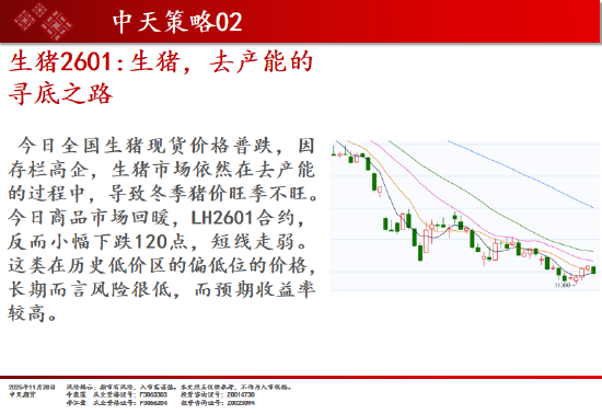 猪价持续“磨底” 企业借期货工具破周期之困