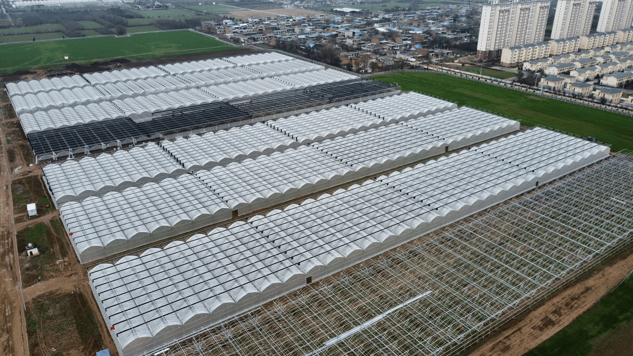 海南加强种业知识产权司法保护 服务“南繁硅谷”建设