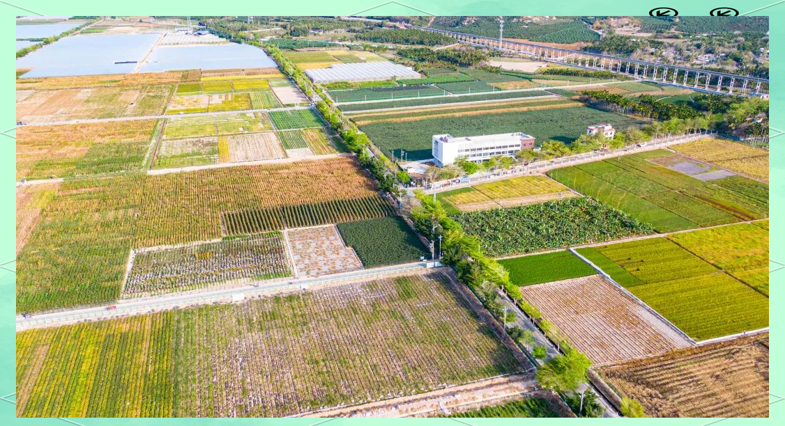 海南加强种业知识产权司法保护 服务“南繁硅谷”建设