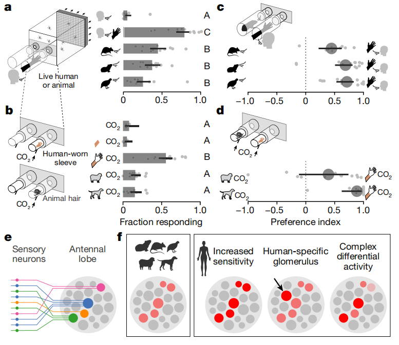 我国科学家参与揭示多发性硬化症的发病新机制