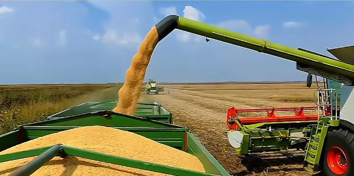 2025年巴西大豆等农产品出口稳步增长