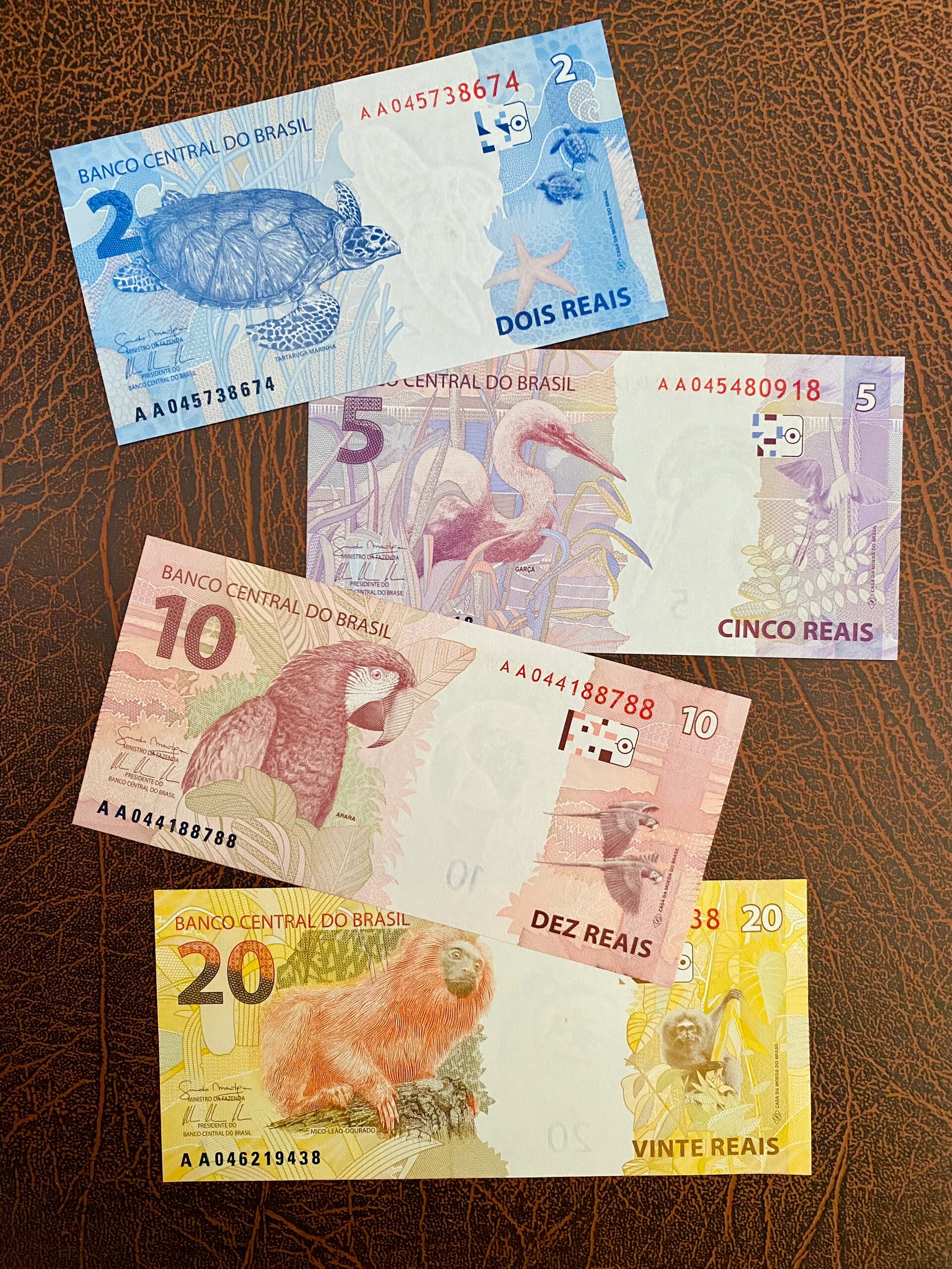 巴西新工业计划已提供贷款近6000亿雷亚尔