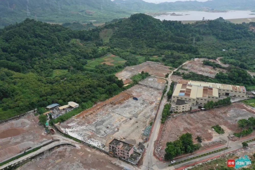 深圳：支持各区加大房源筹集力度 为OPC社区企业提供专属保障房源