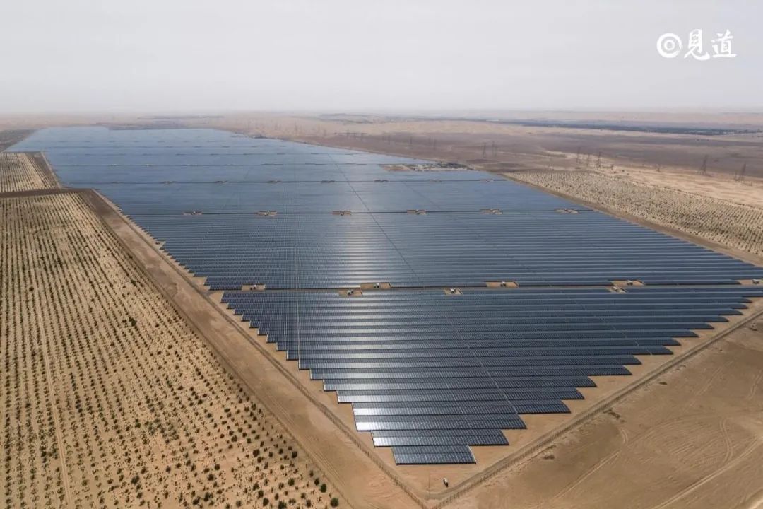 阿尔及利亚启动一项新程序以吸引大型外国石油公司