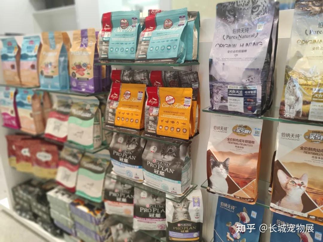 深圳宠物经济快速发展 大型转诊中心成新亮点