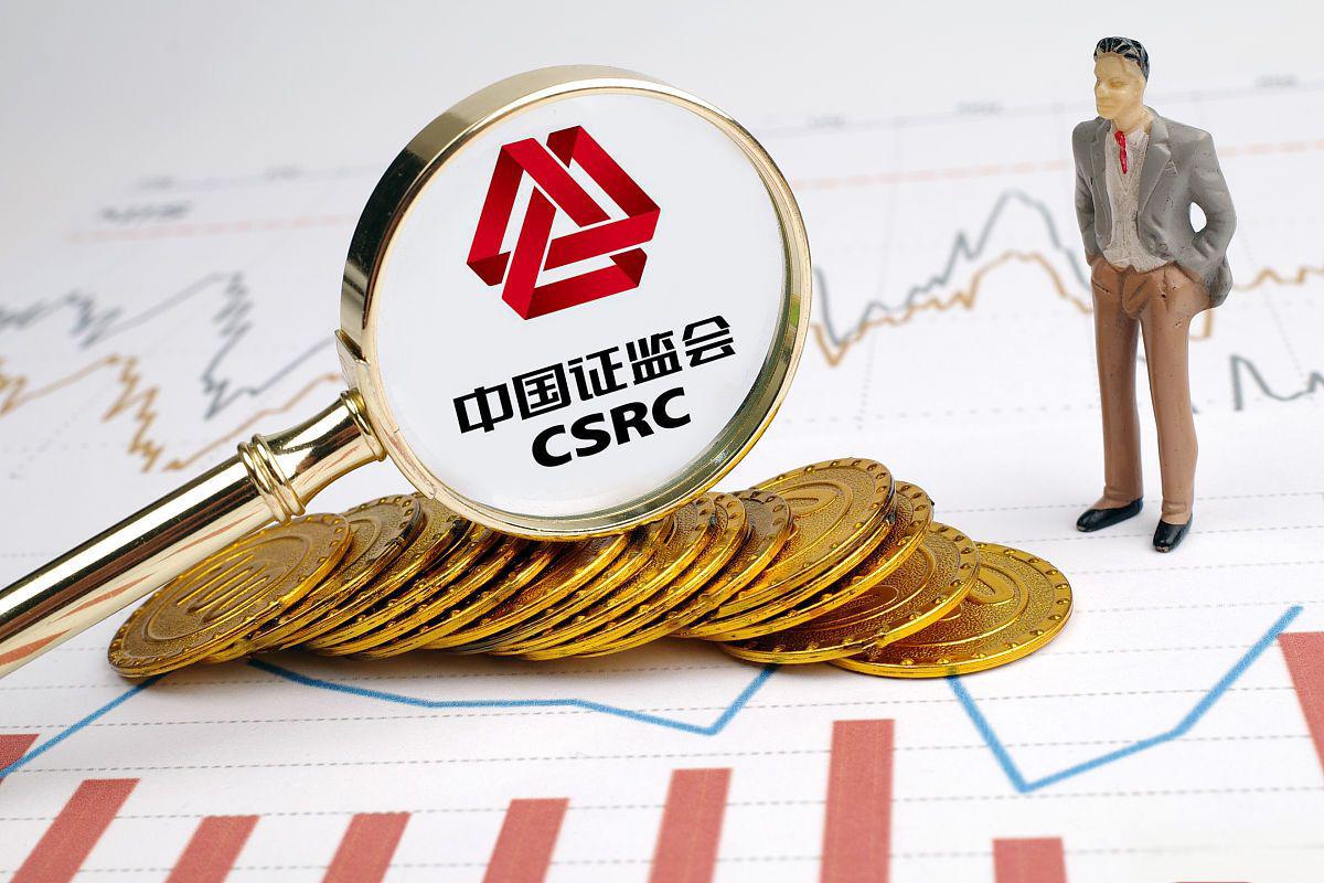 中国证监会：坚决打击财务造假、操纵价格、内幕交易等恶性违法行为