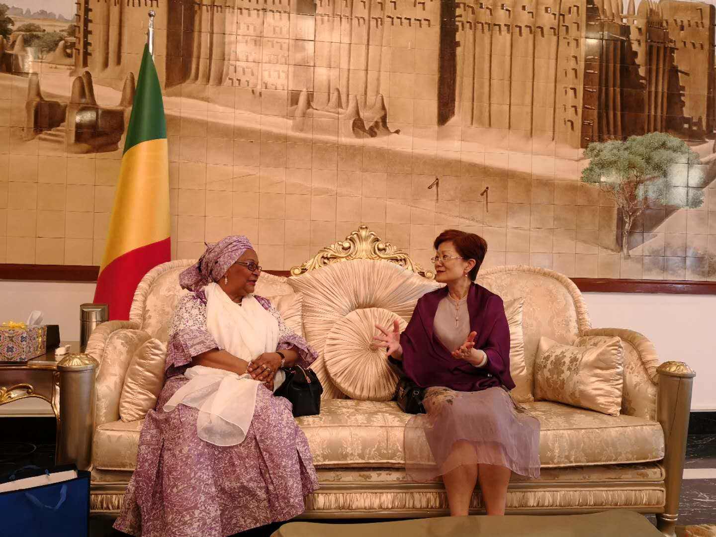 于维华参赞拜会马里国家地质矿业局局长