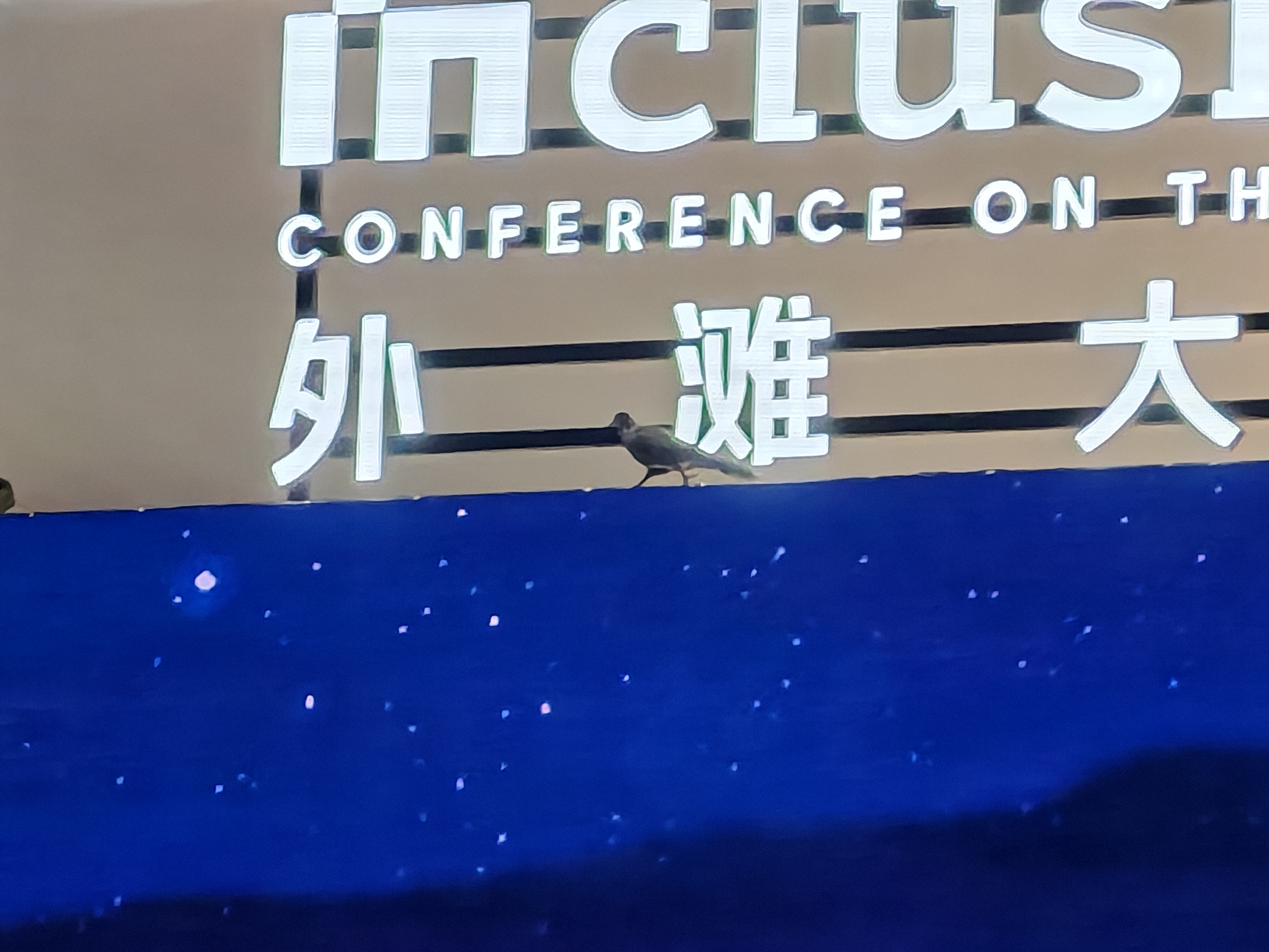 蚂蚁集团韩歆毅：“蚂蚁阿福”商业设计将以可负担性为核心