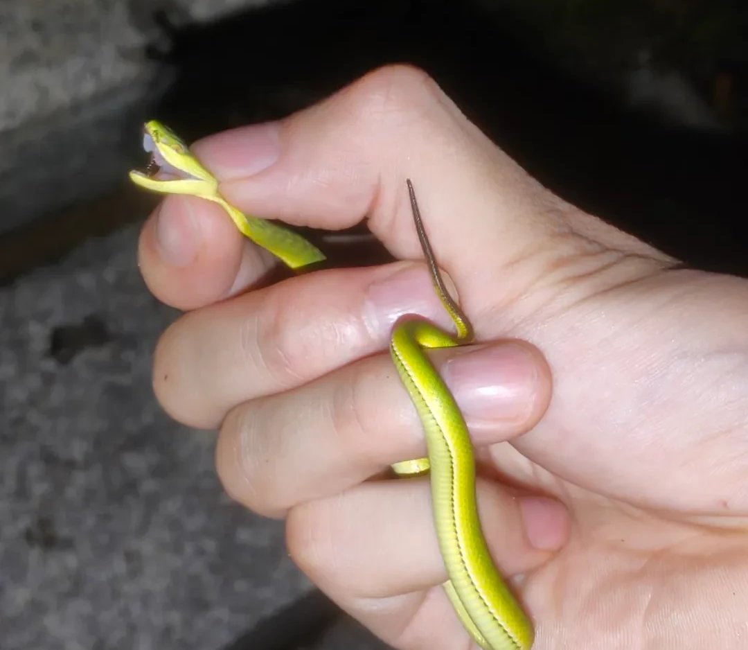 不要在心里养一条毒蛇