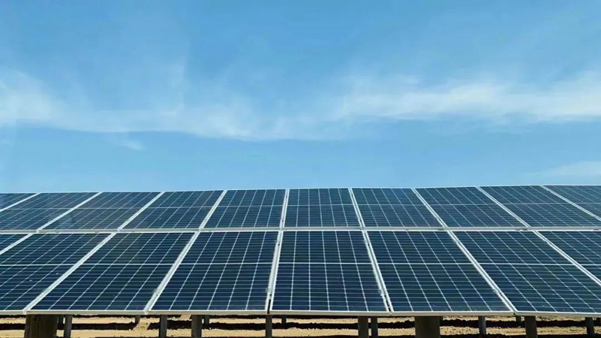 电工合金盘中创历史新高