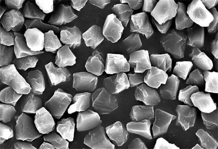 科技之眼丨素问：5亿年前的生物大灭绝藏着什么秘密？