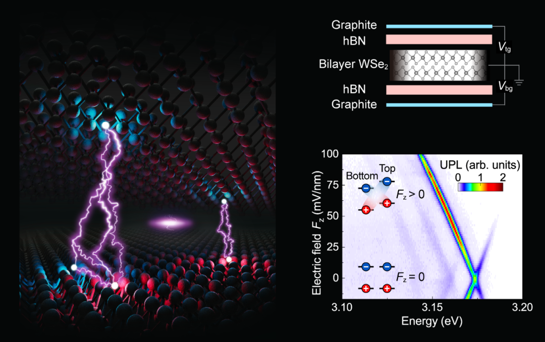 我国科研团队在二维半导体领域取得新进展