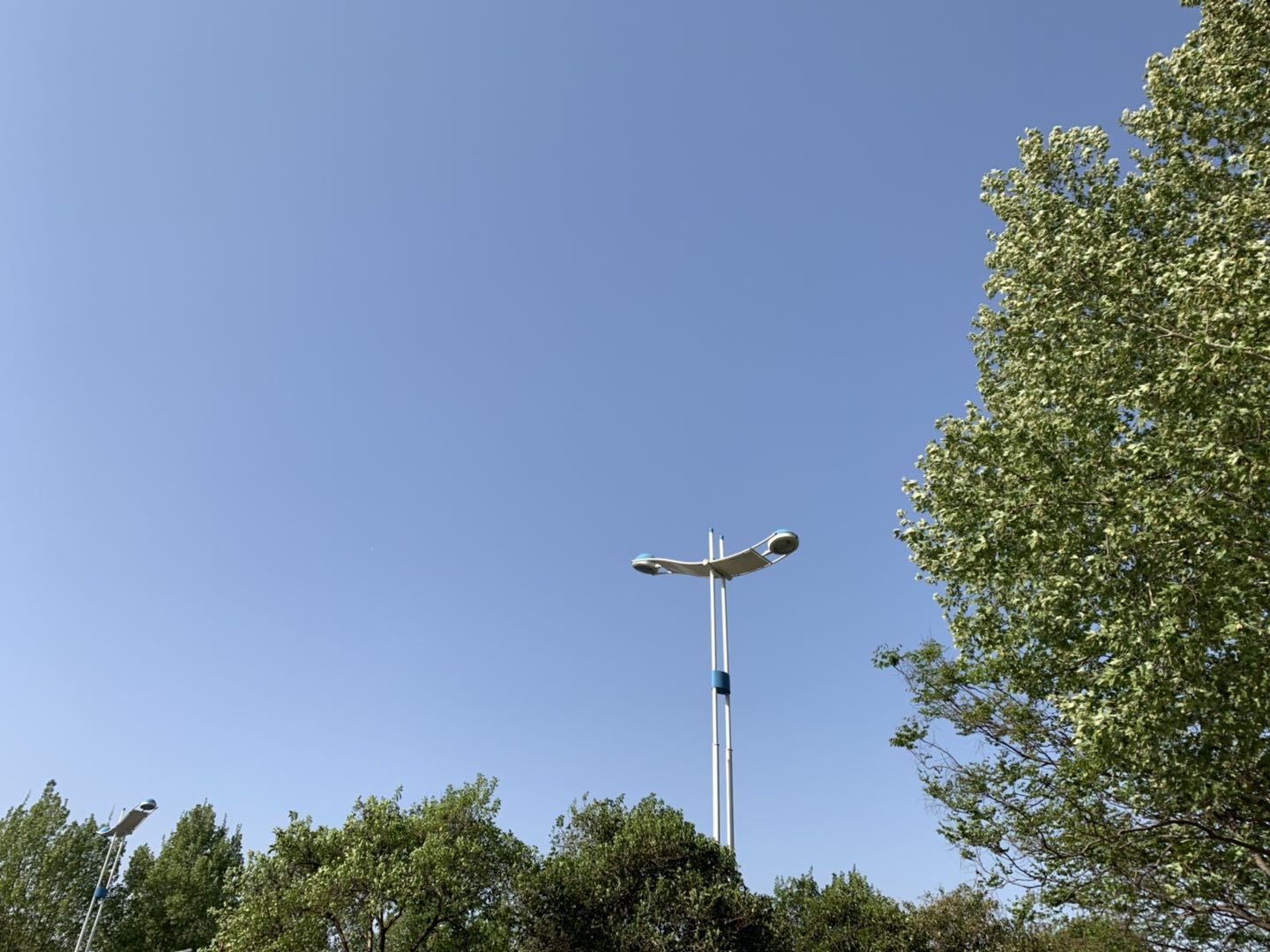 海上风光电 山东释放“蓝色动能”