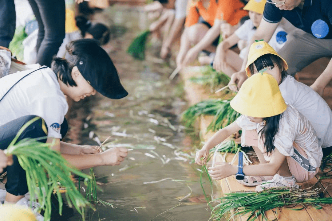 六年深耕拓蓝海，绿动乡村启新程