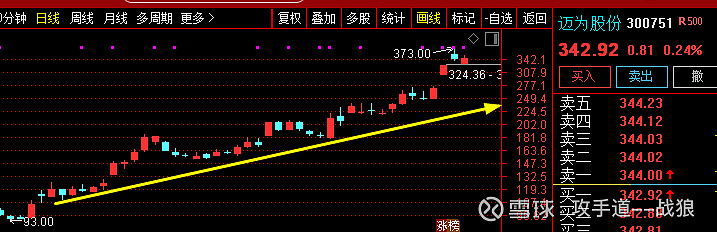 高测股份：尚未开展太空光伏相关业务 未与马斯克团队开展合作