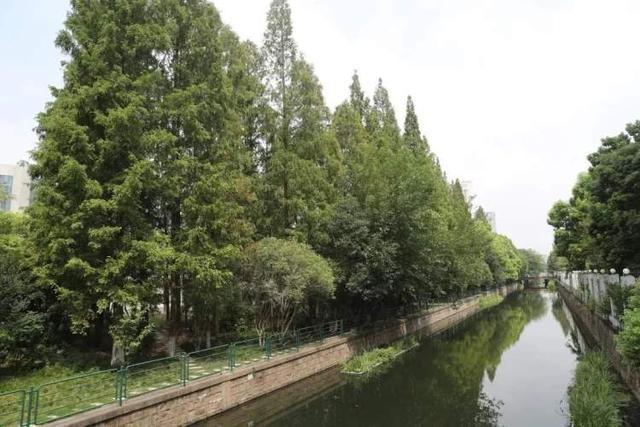 沪澳携手搭建绿色资本桥梁 离岸绿色债券直通车正式上线