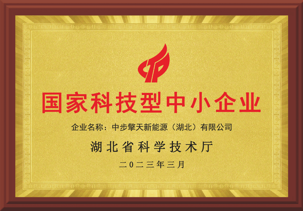 中国科技型中小企业走向旷野