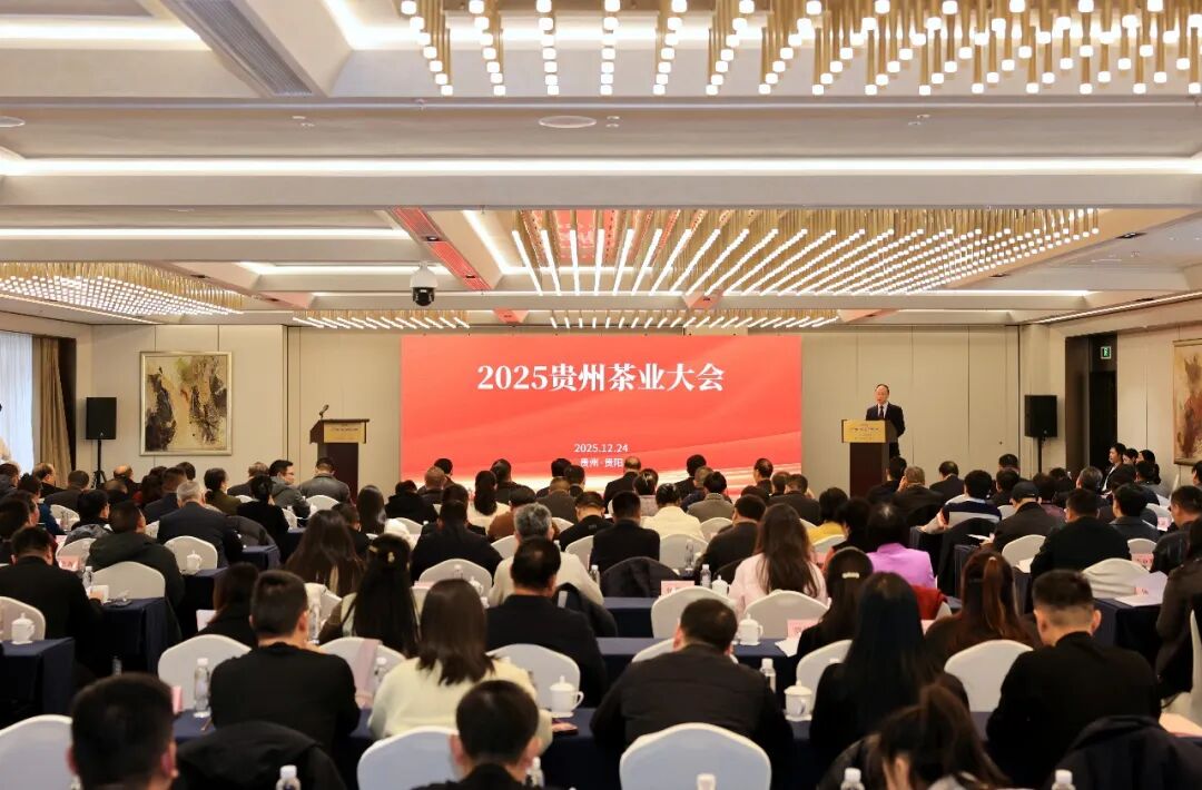 喀麦隆：2025年第二季度贸易逆差扩大至近8000亿中非法郎（约13.33亿美元）